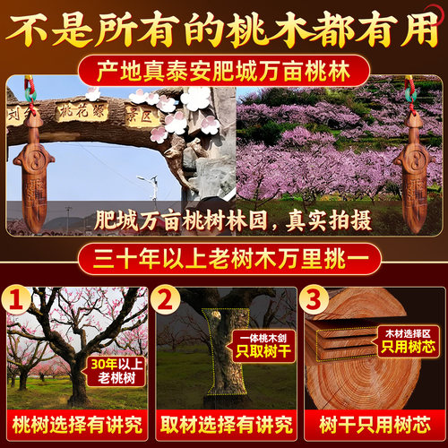 天然雷击桃木剑挂件太极紫薇讳随身七星剑婴儿童宝宝官方旗舰店 - 图0