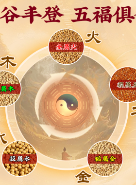 五谷丰登杂粮摆件布置乔迁之喜