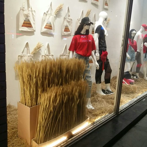 Сухой цветочный уши пшеницы натуральная пшеничная уши истинную пшеницу, ячмень Разное зерно, оконное фермерское дом декоративная стрельба опора