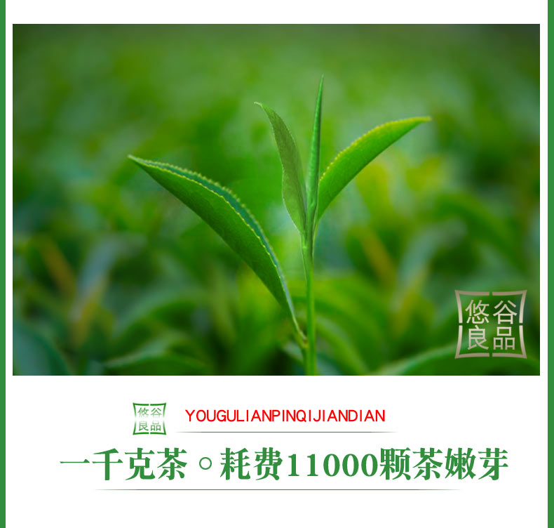悠谷良品旗舰店碧螺春茶叶绿茶新茶苏州明前散装毛尖特产浓香型碧螺春共500g2