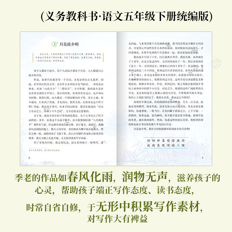 好学匠 官方正版 季羡林给孩子的365堂作文课 全套12册丰子恺漫画插图写作技巧提高小学生三四五六年级作文书散文集小升初课外书籍