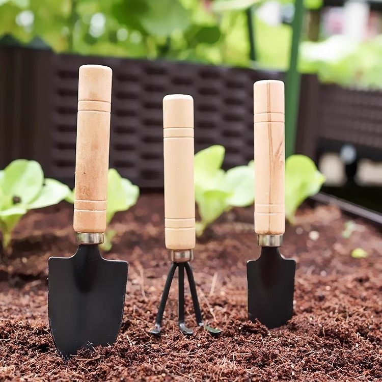 花园种植小工具种菜养花松土种植工具园艺套园艺铲子三件套,淘宝优惠券,粉丝福利购,淘宝优惠卷