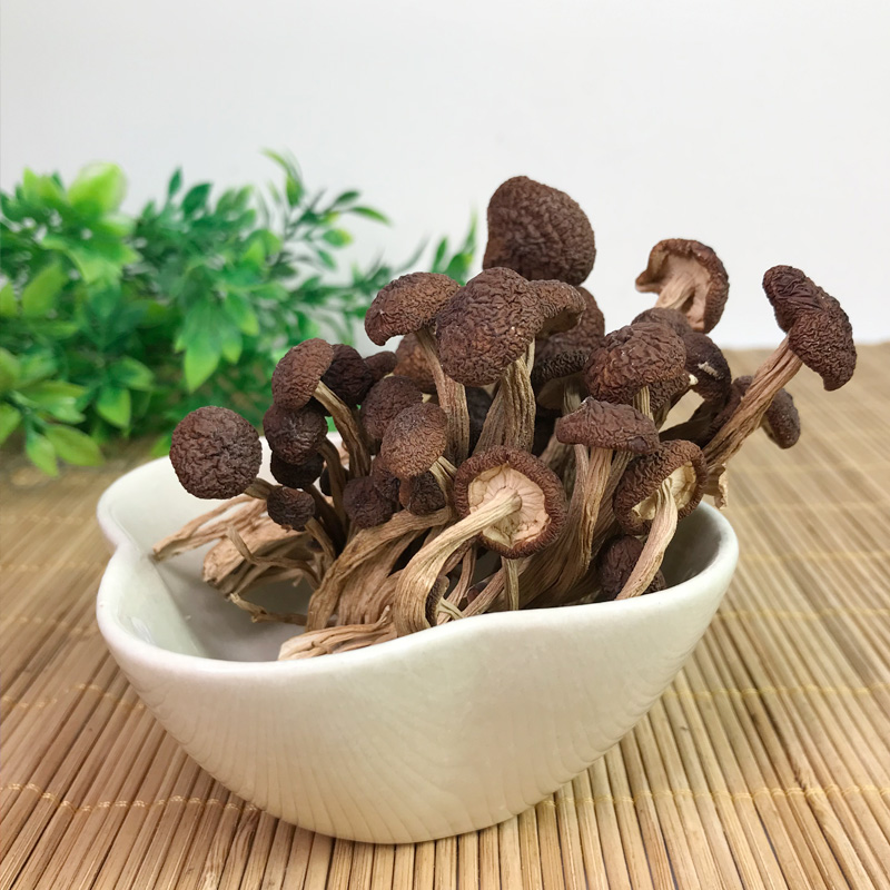新货茶树菇不开伞500g井冈香菇干货剪跟短茶薪菇江西农家特产1斤,淘宝优惠券,粉丝福利购,淘宝优惠卷