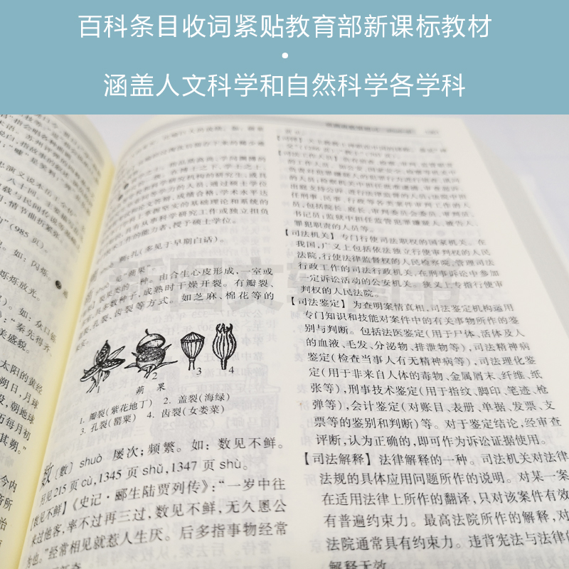 小辞海上海辞书出版社巢峰面向中学生紧扣凝聚辞海精华巢峰古汉语现代汉语字形字音词形自然人文科学简编本中学生哲学大辞典 - 图1