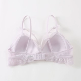 6ixty8ight 68 столешница Новая сладкая светлая пурпурная кружевная бабочка Ультра -тщательная купольная стальная бюстгальтеры без кольца BR14056
