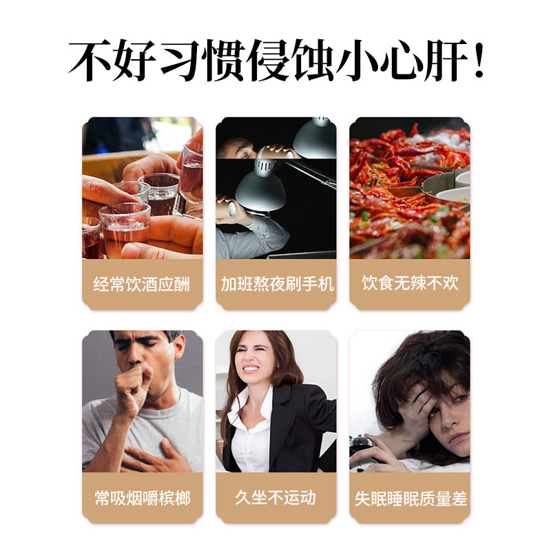 金银花菊花茶枸杞茶包 猫小乐代用/花草茶