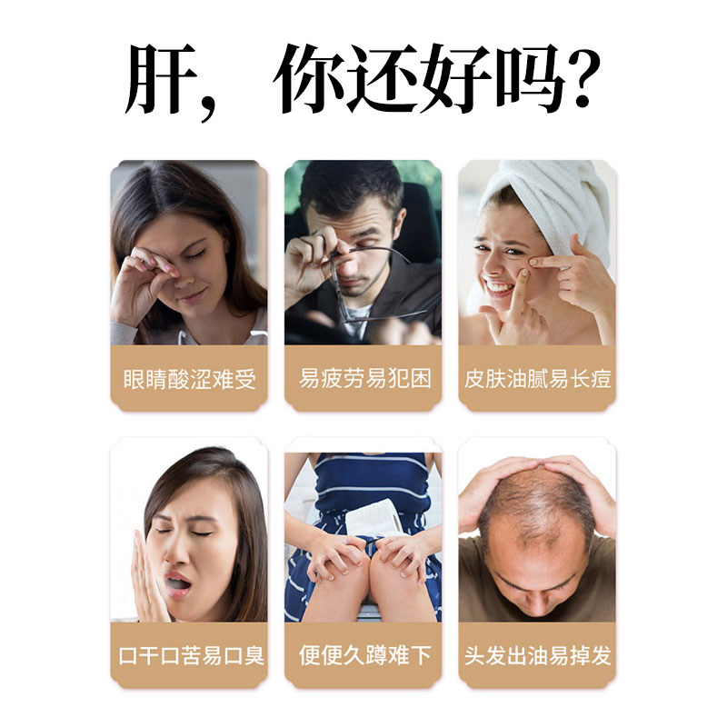 金银花菊花茶枸杞茶包 猫小乐代用/花草茶