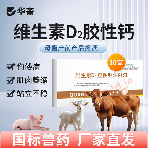 华畜兽药维生素d2注射剂维丁胶性钙针剂兽用猪牛羊产后瘫痪软骨症 - 图0