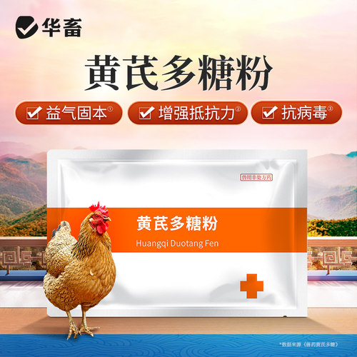 华畜兽药黄芪多糖兽用正品黄氏多糖粉猪鸡牛羊水产用多维生素中药 - 图1