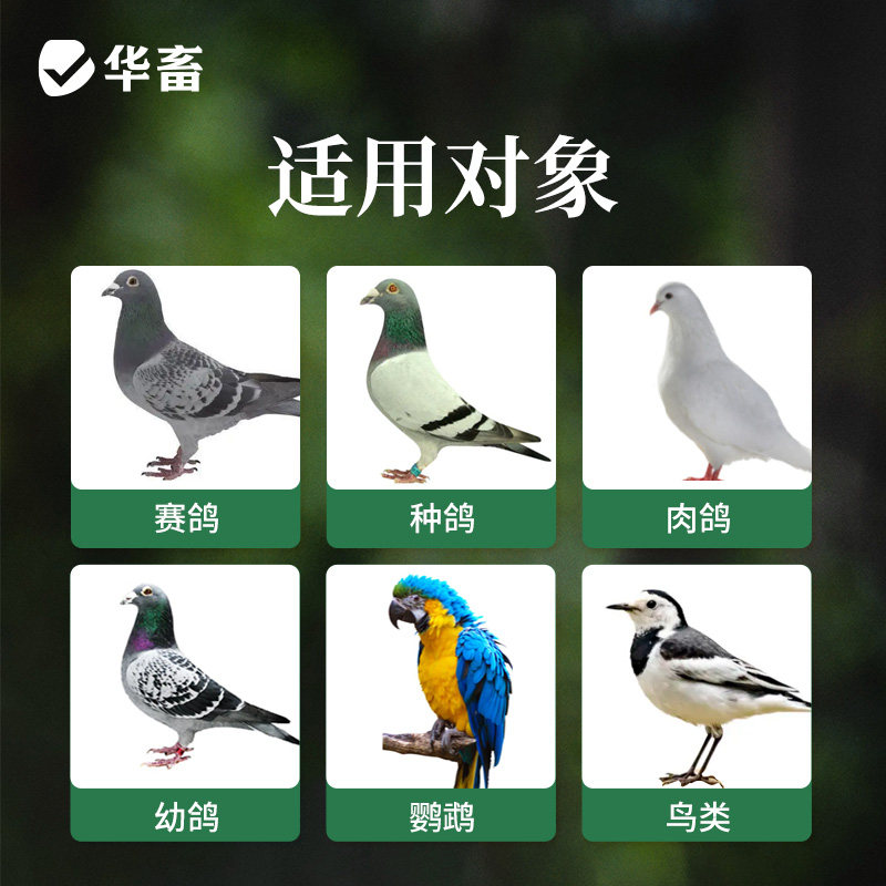 华畜保健砂鸽子专用保健沙颗粒高钙营养红土鹦鹉食粮赛鸽信鸽鸟粮,淘宝优惠券,粉丝福利购,淘宝优惠卷