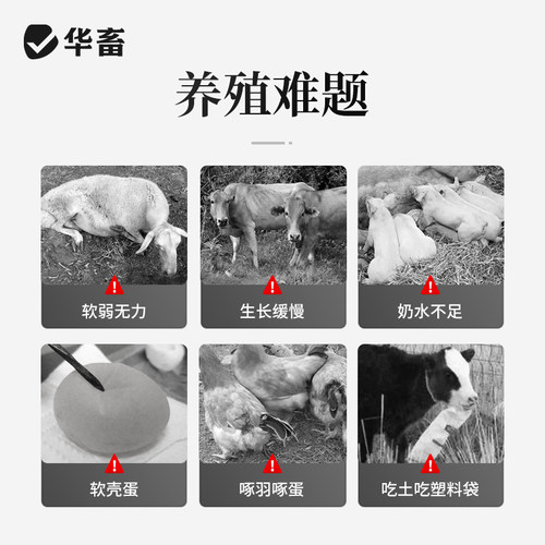 华畜钙磷十八补兽用速补微量元素猪牛羊鸡维生素骨粉钙粉异食吃土 - 图2