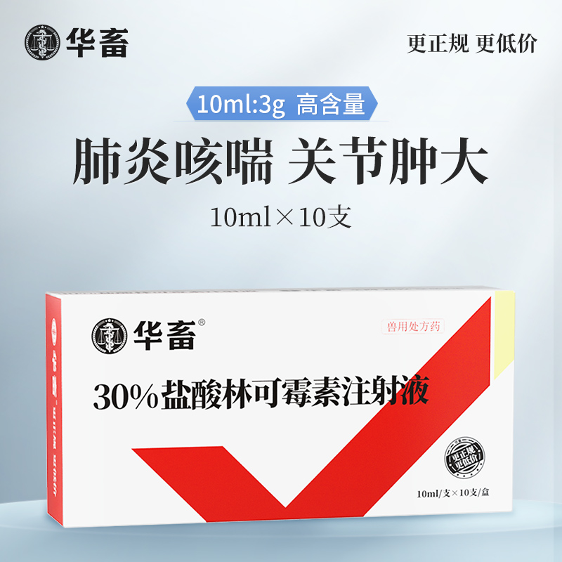 华畜兽药盐酸林可霉素注射兽用液母猪产后消炎牛羊咳嗽支原体针剂-图0