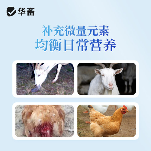华畜钙磷十八补兽用速补微量元素猪牛羊鸡维生素骨粉钙粉异食吃土 - 图3