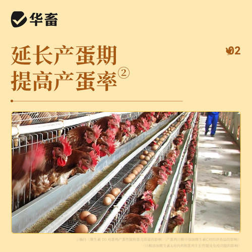 华畜鱼肝油兽用蛋多多鸡禽鱼油增蛋宝电解多维兽用牛羊微量元素 - 图2