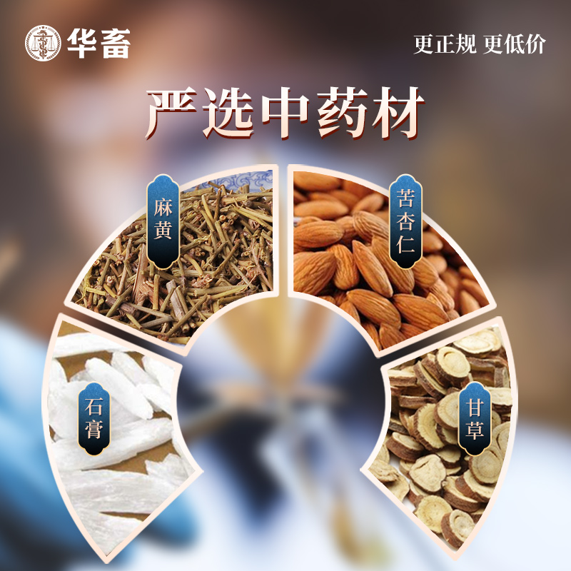 华畜麻杏石甘散兽用肺炎咳喘清肺止咳呼吸道兽药猪药猪用牛羊鸡药-图1