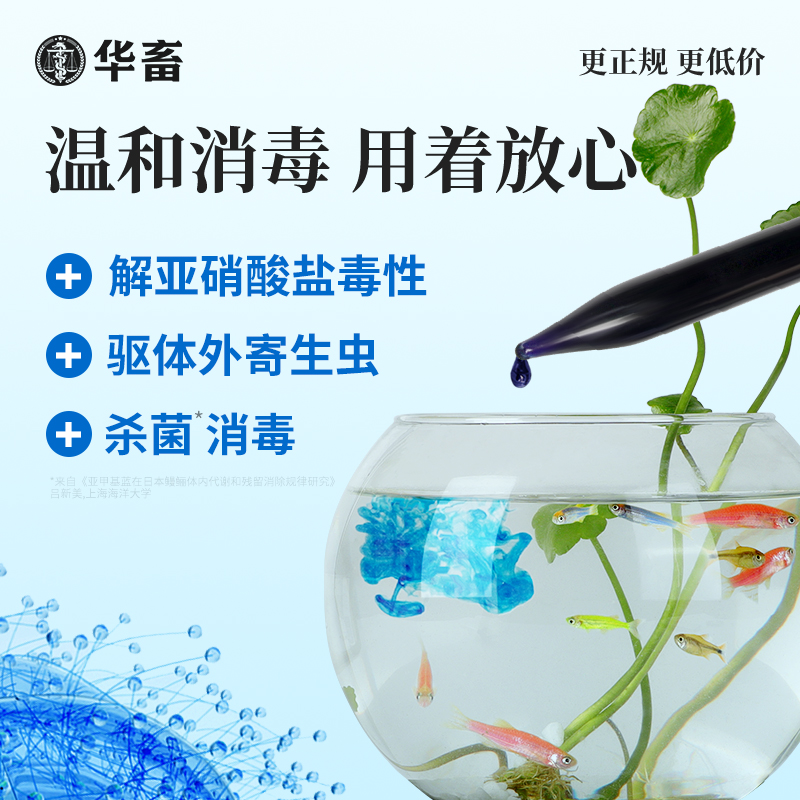 华畜亚甲基蓝鱼药烂身烂尾专治水族专用水霉病白点净鱼缸消毒杀菌 - 图0