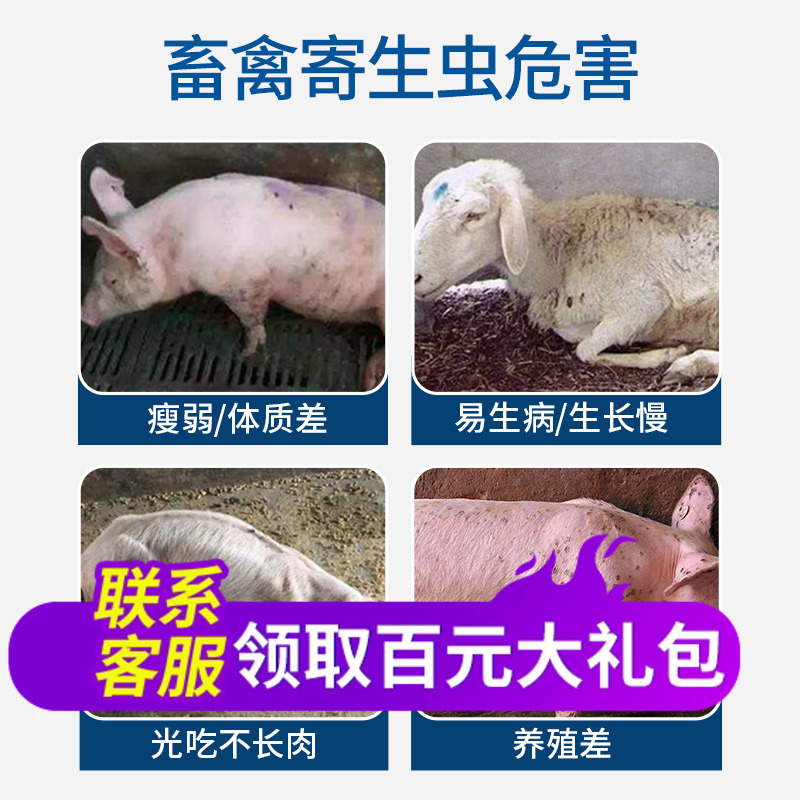 华畜兽药盐酸左旋咪唑片驱虫药兽用猪牛羊鸡鸭鹅狗犬猫驱虫打虫药-图0