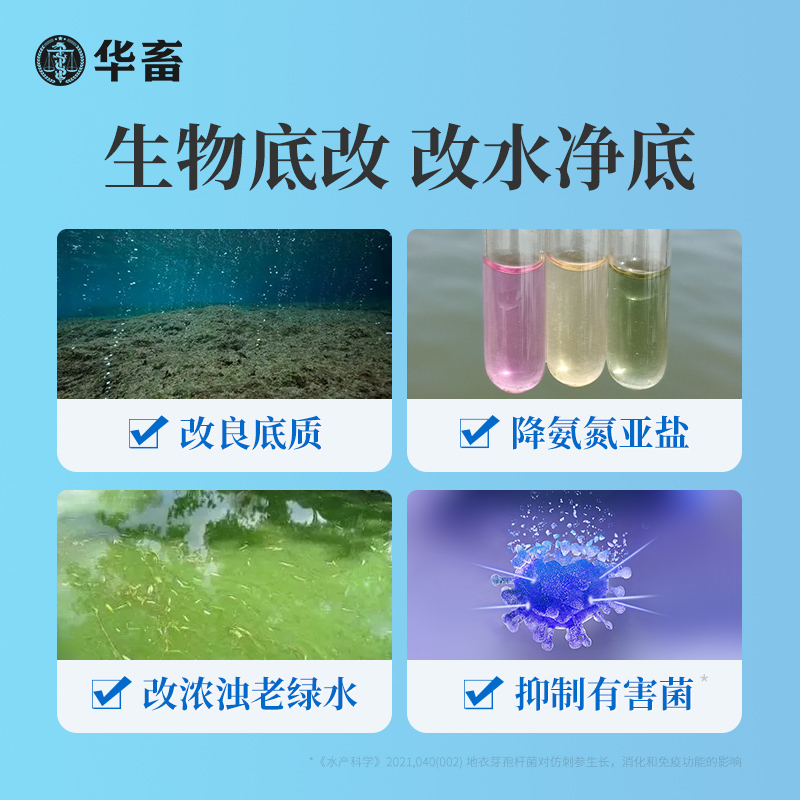 华畜生物底改双效改底王鱼虾蟹塘解毒调水增氧除臭水产养殖净水宝 - 图1