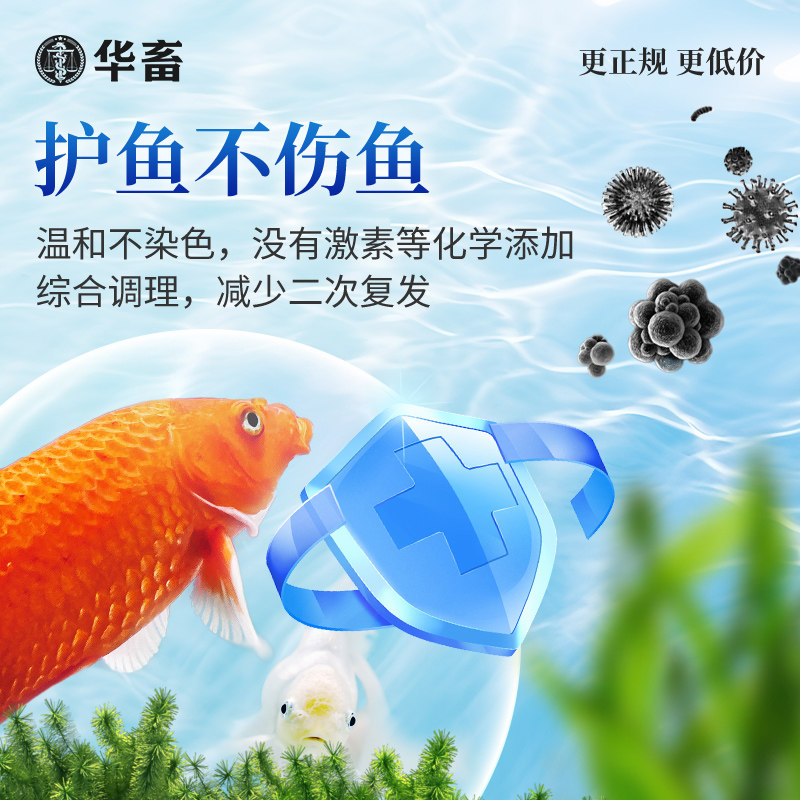 华畜亚甲基蓝烂身烂尾水族鱼专用水霉白毛白点净腐皮鱼缸消毒杀菌,淘宝优惠券,粉丝福利购,淘宝优惠卷