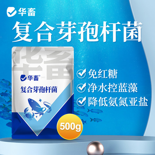华畜复合芽孢杆菌菌种水产养殖专用原种菌粉虾蟹塘活菌em益生菌X - 图0