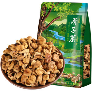 黄松甸 东北特产干货蘑菇 滑子蘑 小黄蘑菇 长白山滑菇香菇 250g