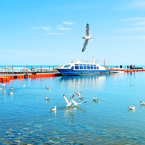 青海旅游日月山青海湖茶卡盐湖1日游商务小团市区内接送纯玩0套路 - 图3