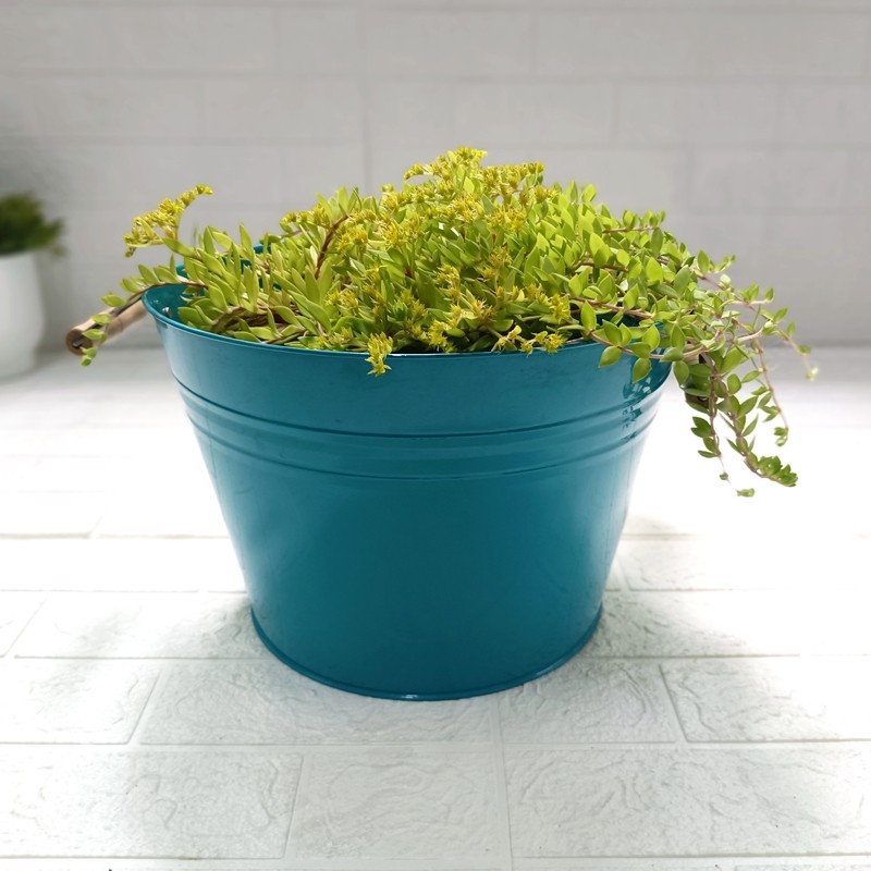 欧系花盆铁制大口径特大号30以上家庭户外专用阳台种菜盆托盘套盆,淘宝优惠券,粉丝福利购,淘宝优惠卷