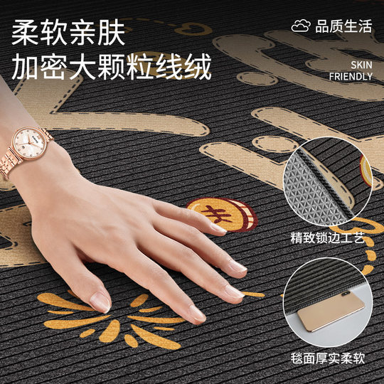 Entrance door floor mats and carpets