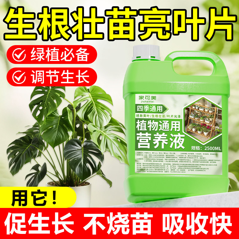 植物营养液通用型家用养花卉绿萝水培绿植多肉盆栽发财树液体肥の - 图1