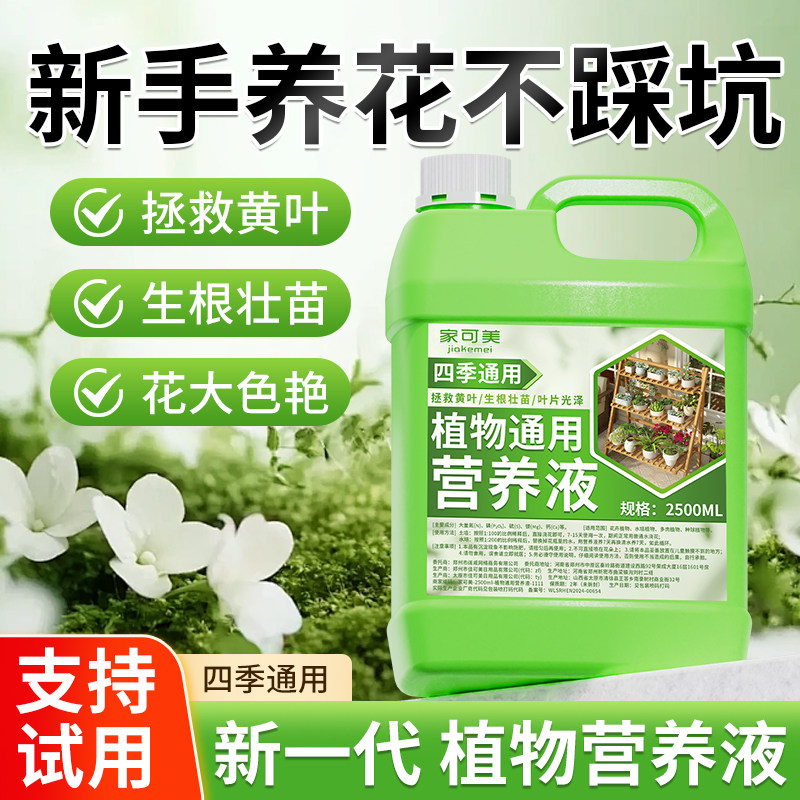 植物营养液通用型家用养花卉绿萝水培绿植多肉盆栽发财树液体肥の - 图2