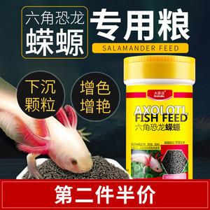 大家窪 蠑螈六角恐龍魚飼料六角龍娃娃魚東方魚食糧寵物底棲專用