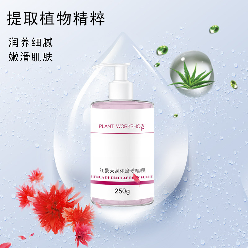 工坊红景天身体手部去鸡皮肤磨砂膏 植物工坊面部护理套装