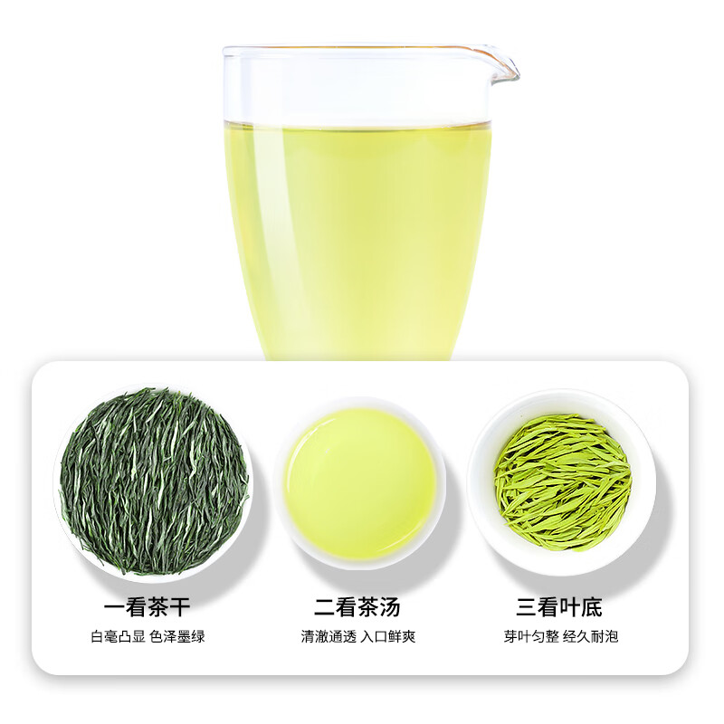 茶叶毛尖绿茶2024新茶明前浓香型嫩芽春茶茉莉花茶官方旗舰店罐装 - 图3