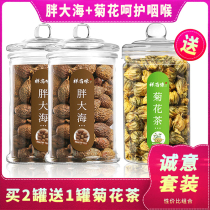 Fat sea Chinese herbal medicine Flagship Store Glass Canned bubble water Drink with a hitchhiking Herbal Tea