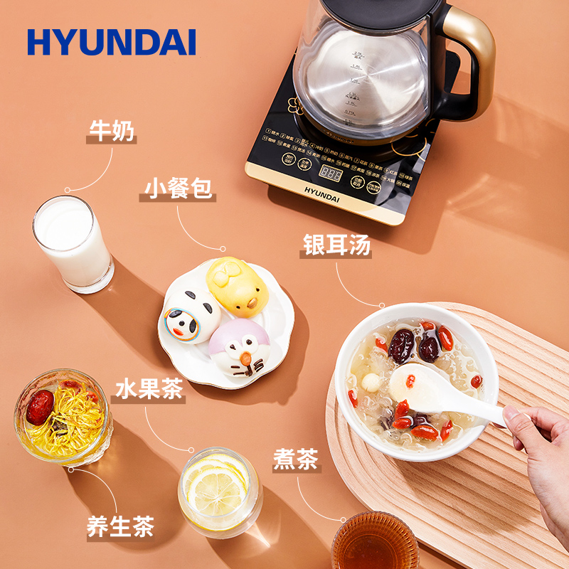 HYUNDAI韩国品牌养生壶全自动多功能玻璃电热茶水壶家用煮茶器2升_正品闪购_厨房电器-第2张图片-提都小院