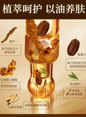 梦希蓝山茶花润肤油面部精华维稳