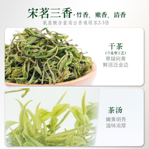 2026新茶上市宋茗安吉白茶50g雨前一级散装春茶正宗珍稀绿茶叶 - 图0
