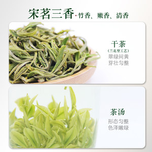 2025年新茶上市安吉白茶宋茗明前精品尚金单罐36g正宗绿茶叶