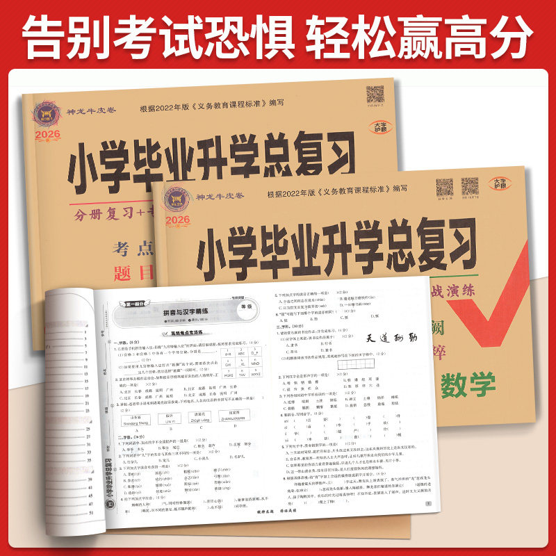 2026小升初真卷海淀ab卷小升初毕业总复习语文数学英语专项复习真题演练模拟冲刺六年级下册期末冲刺人教外研版小学升初中资料卷子