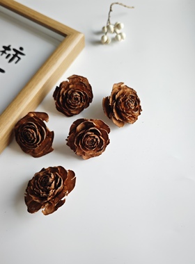 【雪松果】天然植物木玫瑰手工DIY创意摆饰拍摄道具花幼儿环创