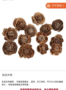 木玫瑰 圣诞松果干花永生花材 天然植物 装饰搭配材料学校幼儿园