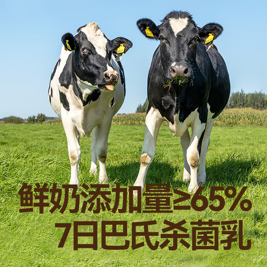 Akita Manman Infant DHA Soluble Beans 3 boxes