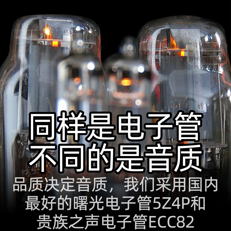 Fgoola311组合音响发烧级dvd胆机hifi音箱电子管套装家用CD播放机 - 图2