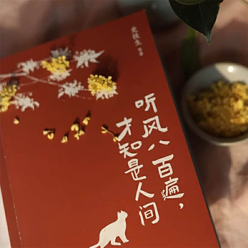 听风八百遍才知是人间史铁生汪曾祺梁实秋丰子恺沈从文橙黄橘绿半甜时中国近代随笔文学新华文轩书店旗舰店官网正版书籍畅销书 - 图1
