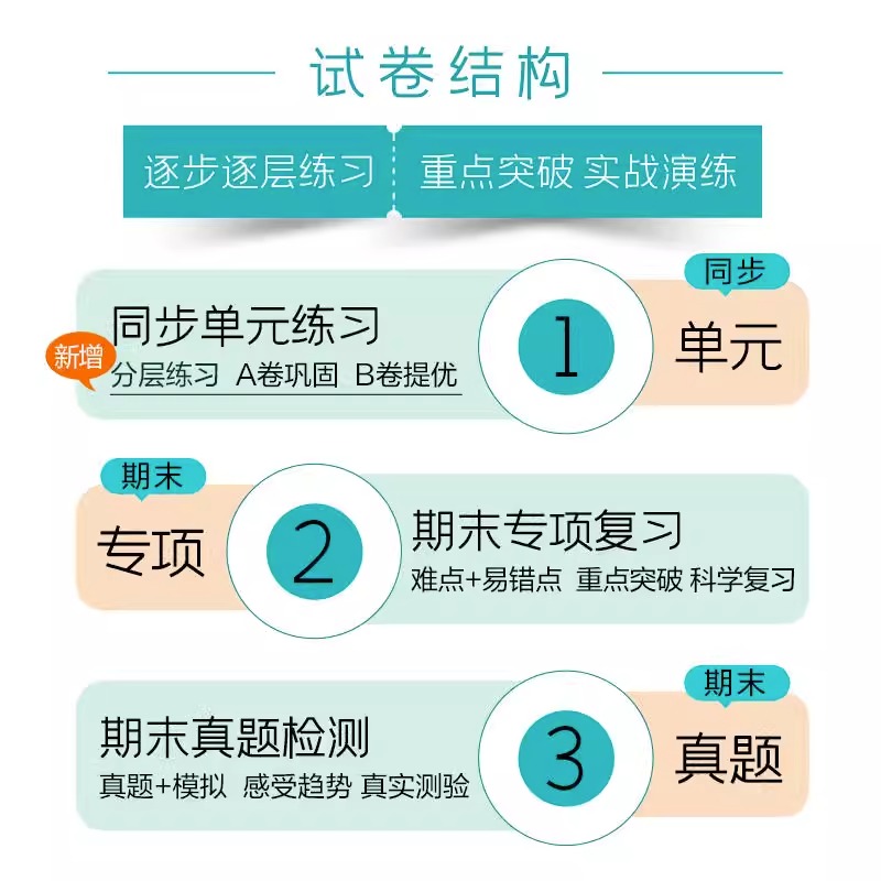 2024春53全优卷一二三四五六年级上下册语文数学英语试卷人教版5.3天天练同步训练全优全能练考卷单元测试卷同步练习册寒假作业-图3