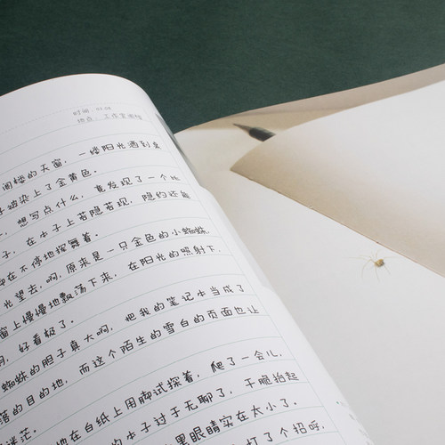 虫子旁朱赢椿正版儿童版少儿绘本朱赢椿幼儿园小学生课外书籍阅读少儿父母与孩子的睡前亲子阅读新华正版图书籍0-4-6-8岁 - 图2