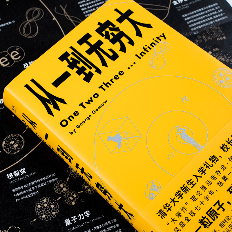 从一到无穷大 清华校长邱勇推荐 畅销经典科普读物 物理科普科学经典书籍 解读爱因斯坦相对论四维时空 青少年中小学生读物书 - 图0