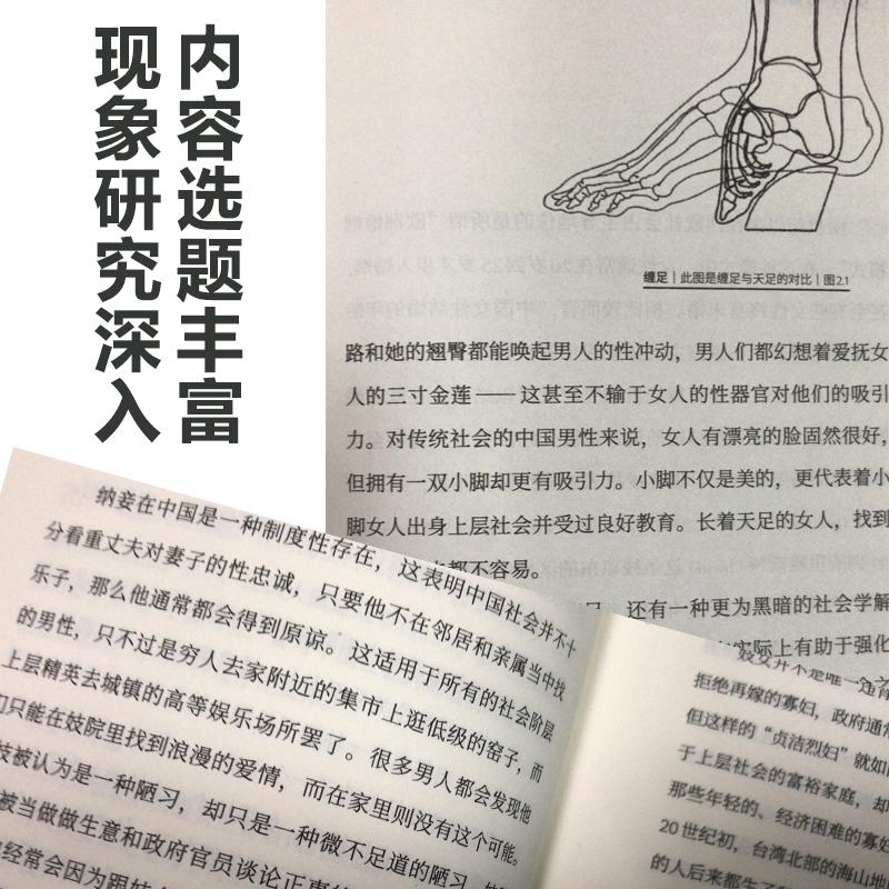 家族、土地与祖先 乡土中国传统历史文化风俗社科哈佛大学易劳逸研究中国四百年社会经 (美)易劳逸 著 苑杰 译 - 图2