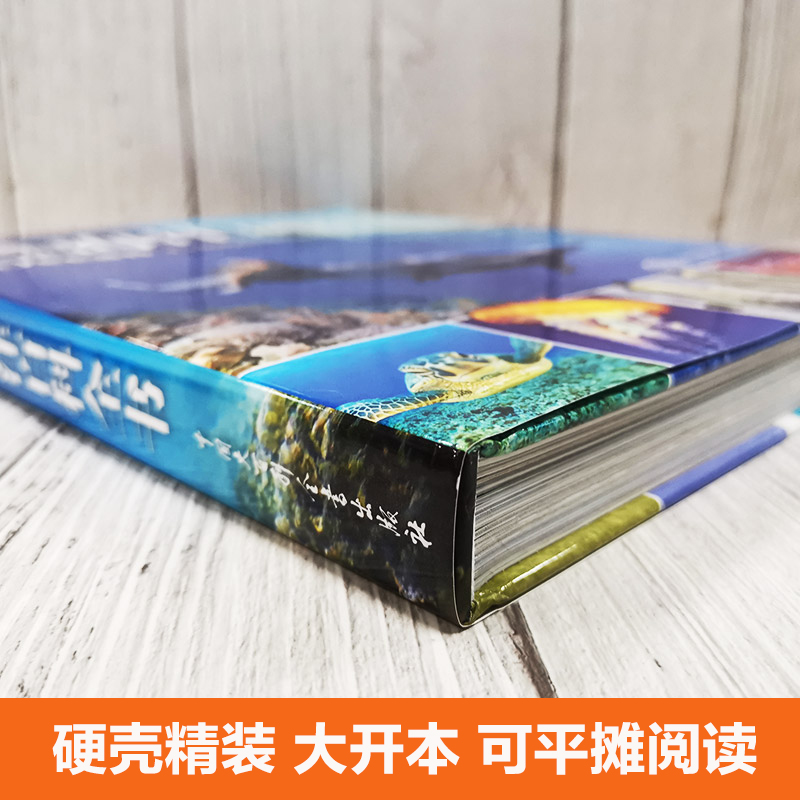 DK儿童海洋百科全书 6-12岁中小学生生物大百科中文版精装硬皮彩图绘本少儿儿童科普丛书课外读物宇宙百科同系列-图0