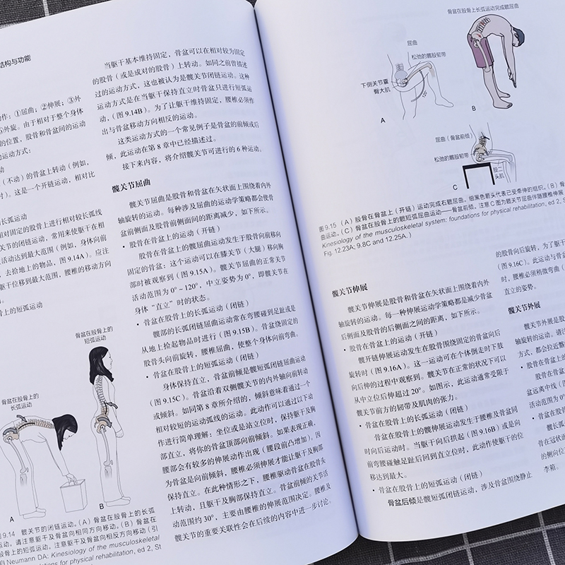 基础肌动学 第4四版 肌肉骨骼系统的结构和功能 保罗杰克逊曼斯菲尔德 图谱肌动力学 筋膜解剖书 医学书籍 北京科学技术出版社 - 图2